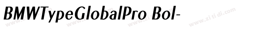 BMWTypeGlobalPro Bol字体转换 BMWTypeGlobalPro Bol字体转换